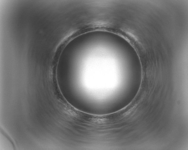 X0000071841309200607072225