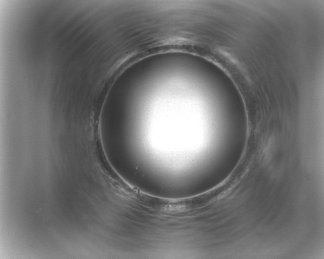 X0000071841313200607072225