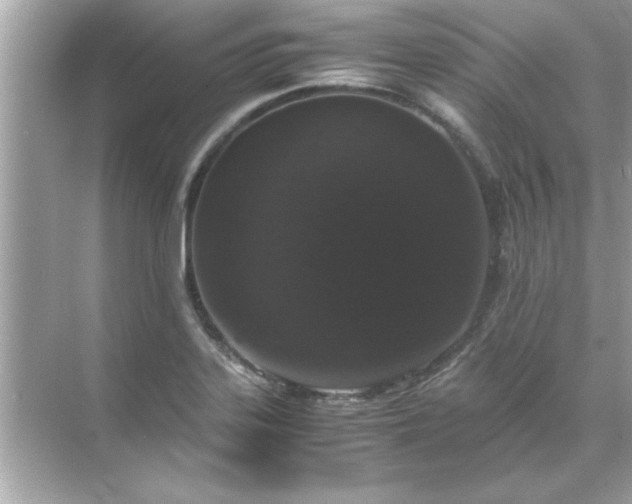 X0000071841323200607072225
