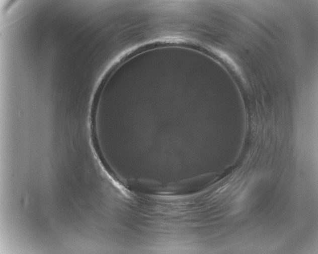 X0000071841327200607072225