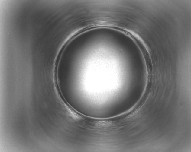 X0000071841333200607072226