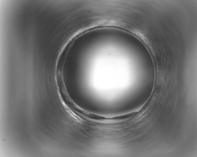 X0000071841342200607072226