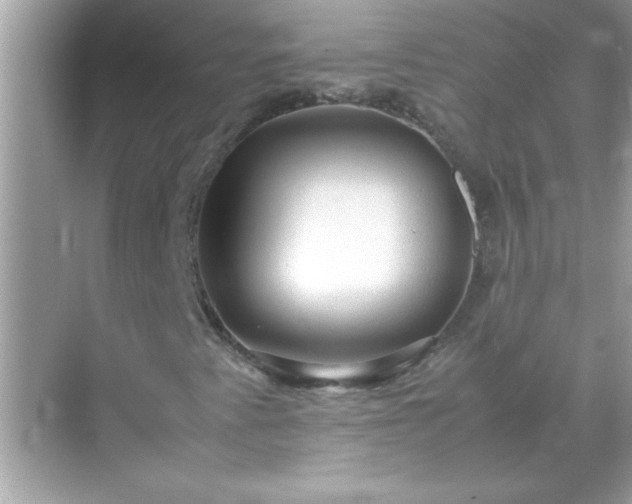 X0000071841345200607072225