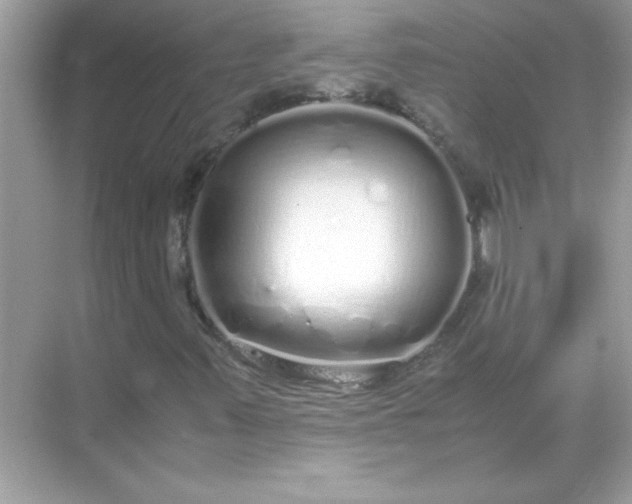 X0000071841347200607072225