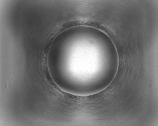 X0000071841349200607072225