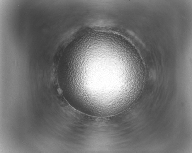 X0000071841350200607072225