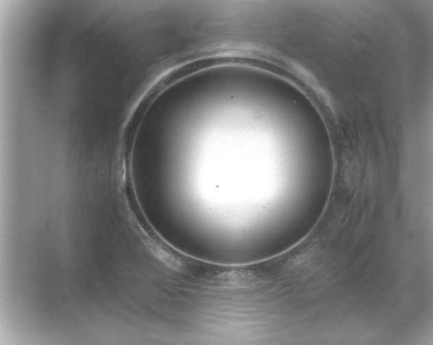 X0000071841368200607072225