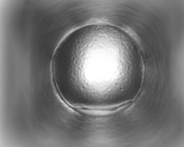 X0000071841382200607072224