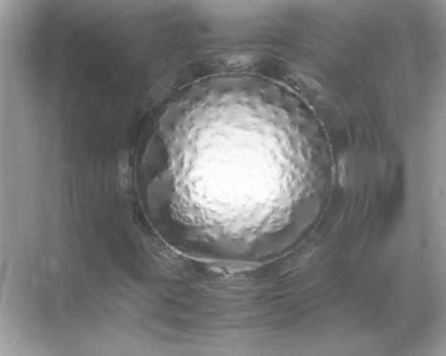 X0000071841395200607072223