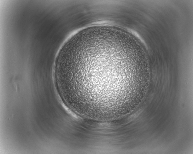 X0000071841421200607072224