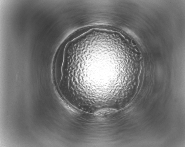 X0000071841423200607072224