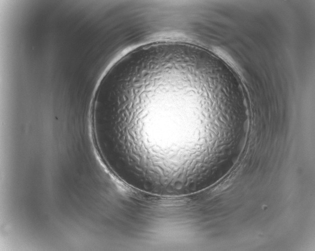 X0000071841440200607072224