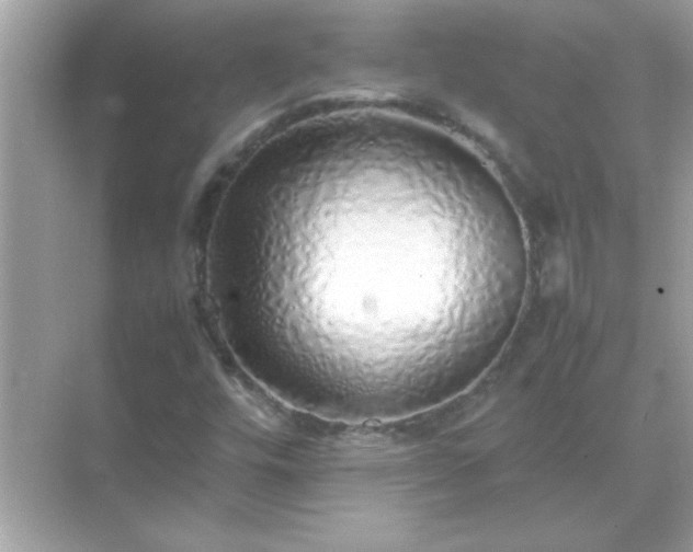 X0000071841448200607072223