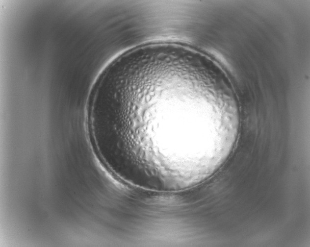 X0000071841468200607072223