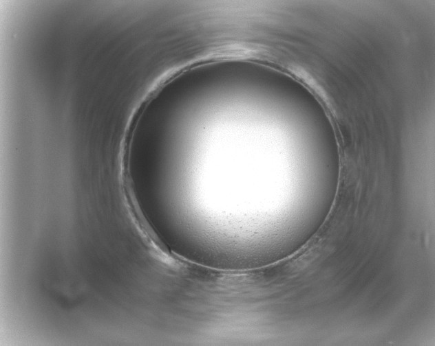 X0000071841477200607072223