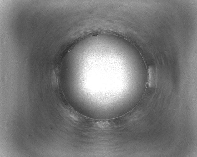 X0000071841491200607072222