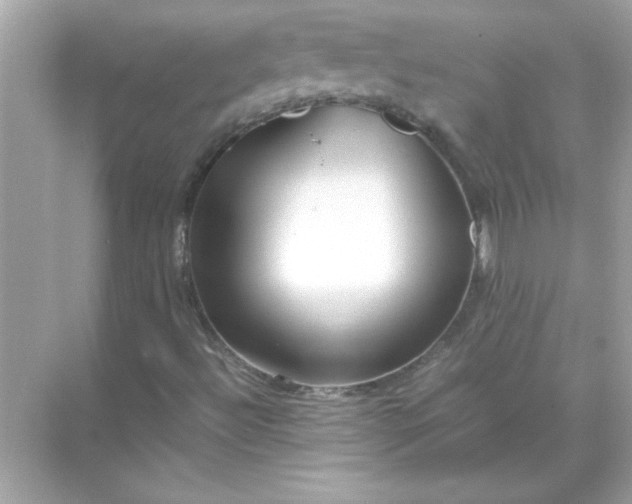 X0000071841492200607072222