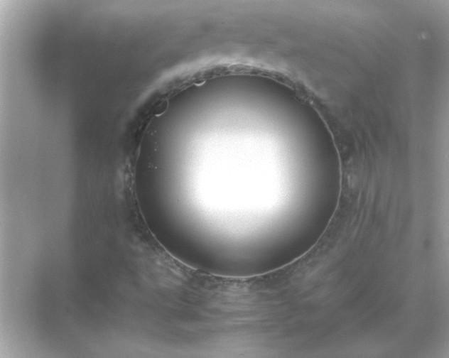 X0000071841495200607072222