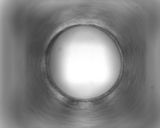 X0000071841498200607072222