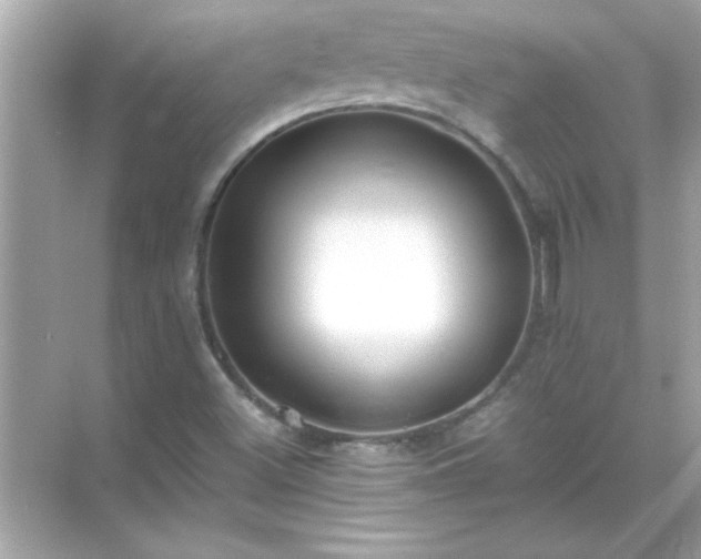 X0000071841500200607072222