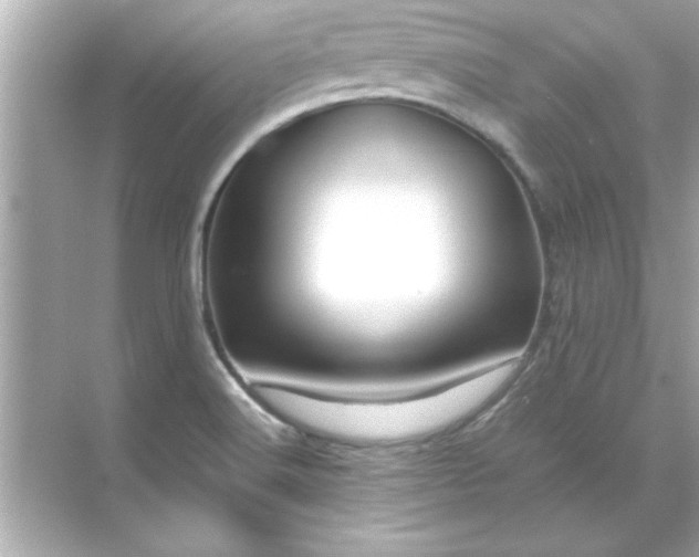 X0000071841516200607072222