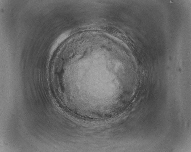 X0000071840006200607141737
