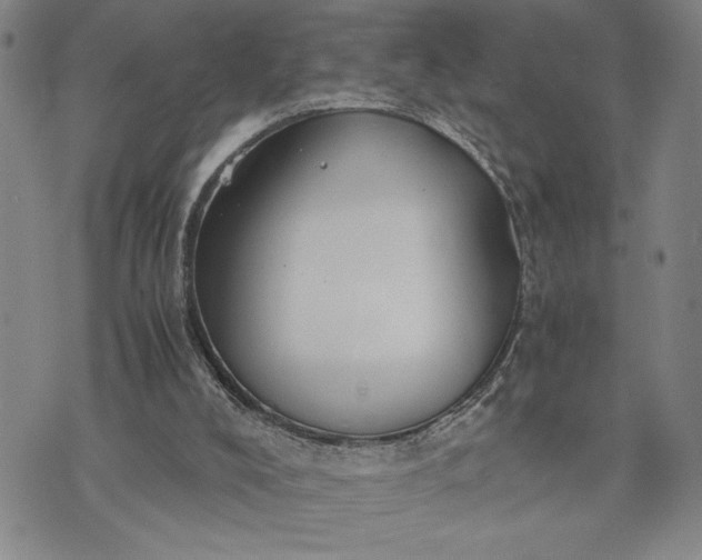 X0000071840008200607141737