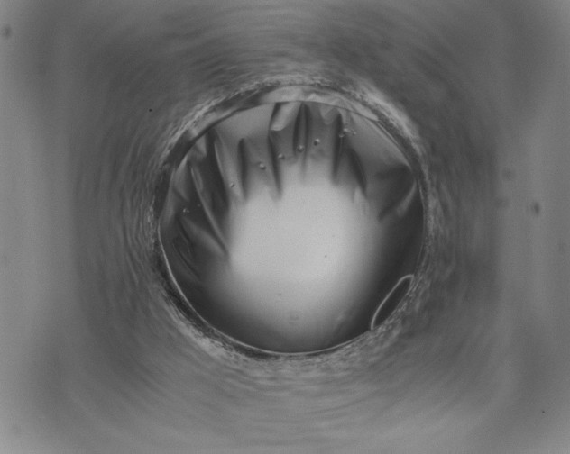 X0000071840009200607141737