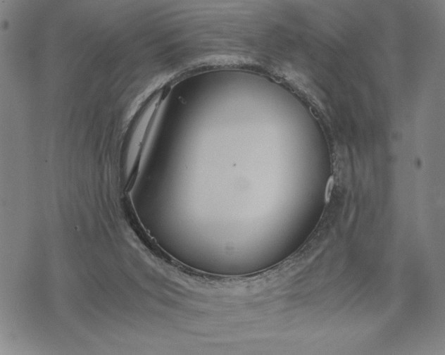 X0000071840015200607141737