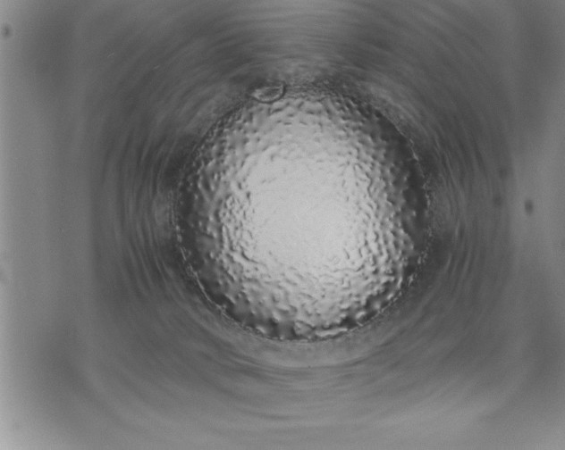 X0000071840034200607141736