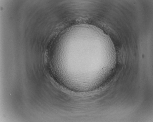 X0000071840038200607141736