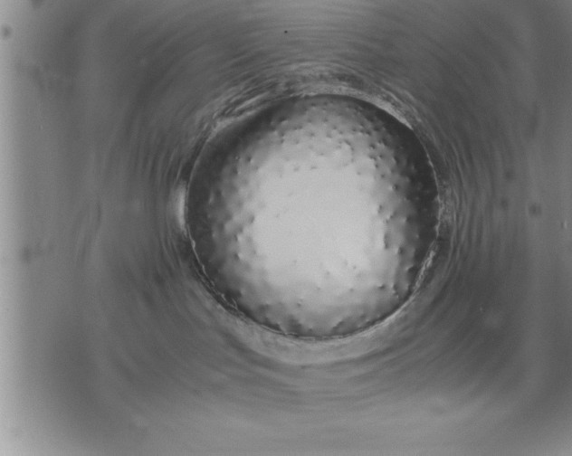 X0000071840047200607141736