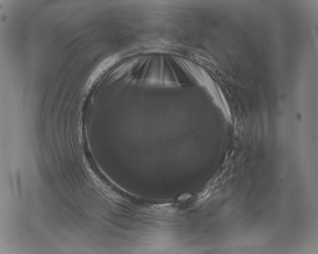X0000071840054200607141735
