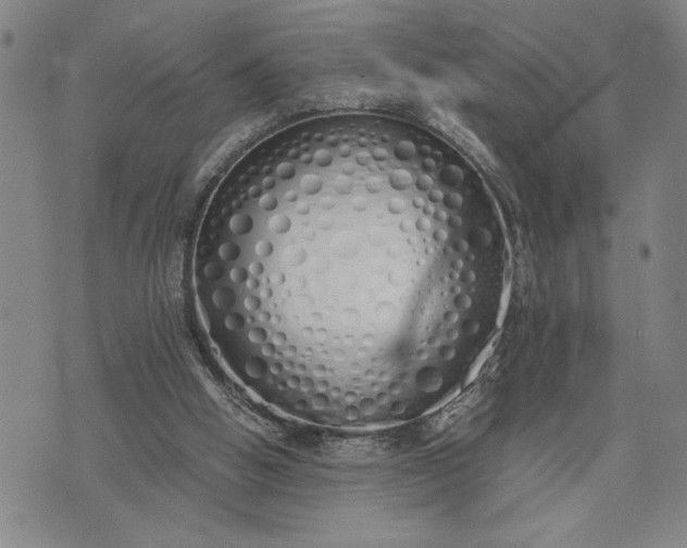 X0000071840058200607141735