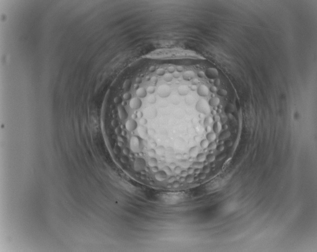 X0000071840085200607141736