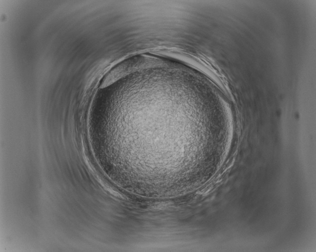 X0000071840097200607141735
