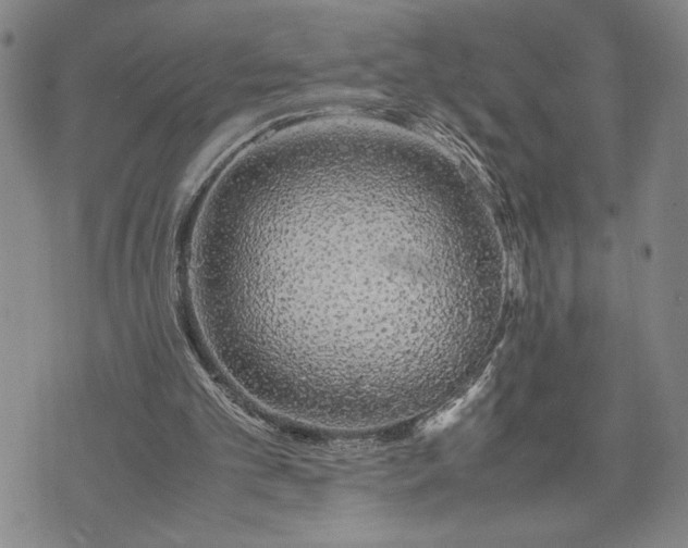 X0000071840101200607141735