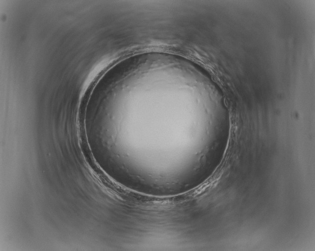 X0000071840102200607141735