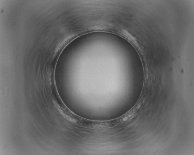 X0000071840106200607141735