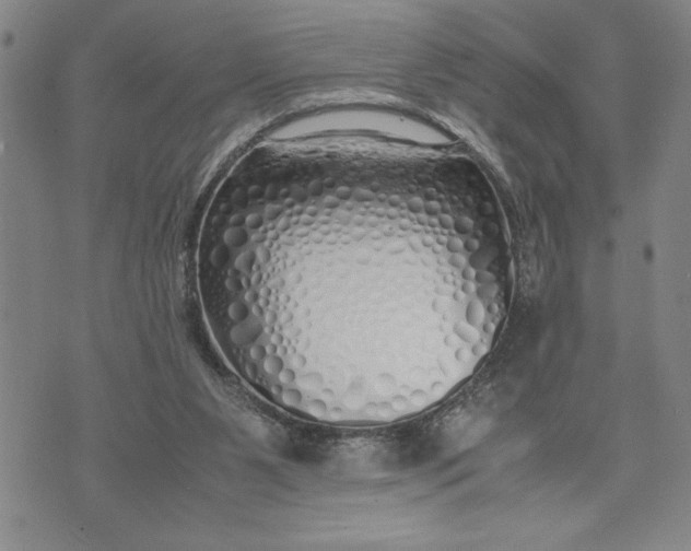 X0000071840111200607141735