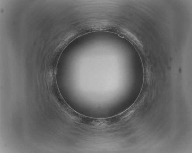 X0000071840113200607141735