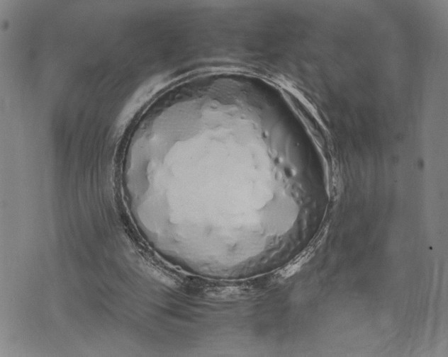 X0000071840151200607141734