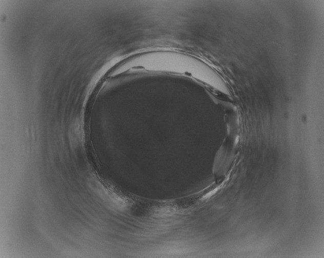 X0000071840200200607141734