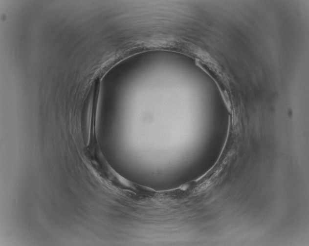 X0000071840201200607141734