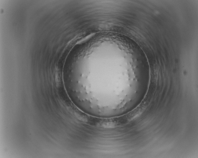 X0000071840228200607141733