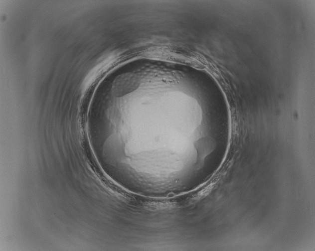 X0000071840245200607141732