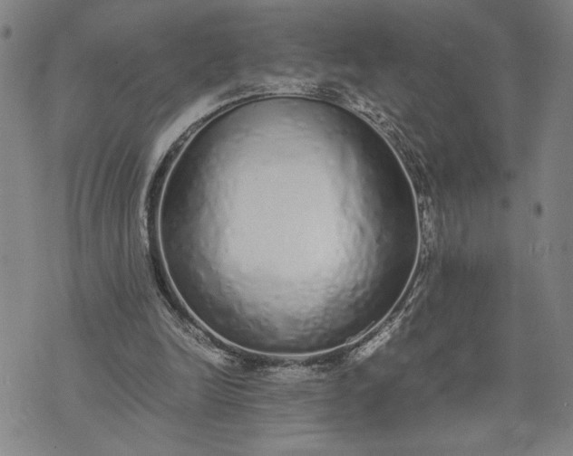 X0000071840246200607141732