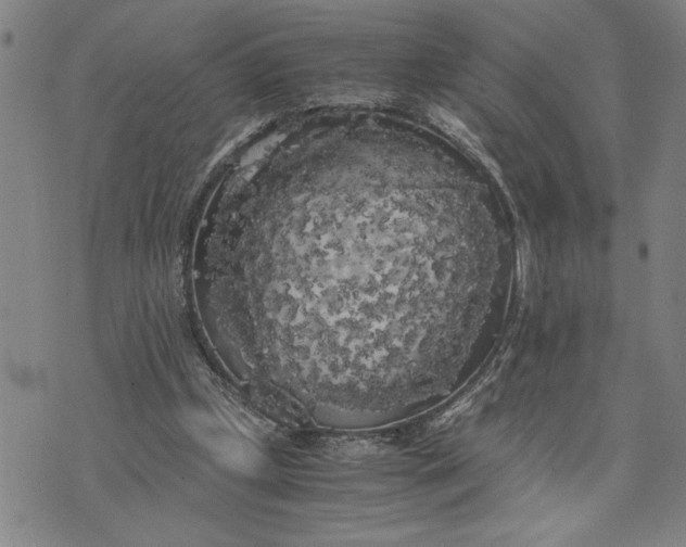 X0000071840249200607141732