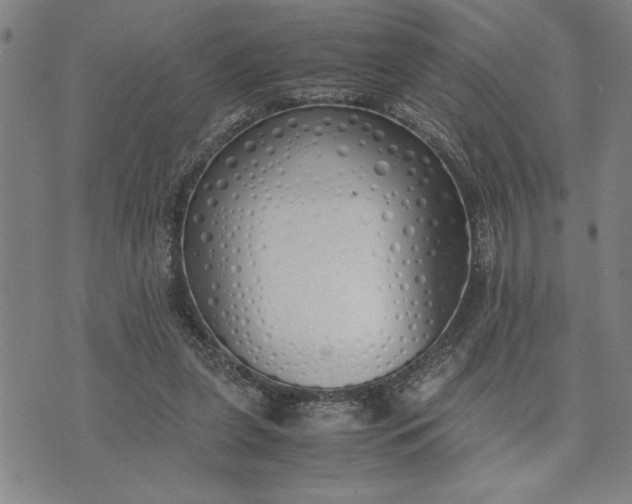X0000071840255200607141732