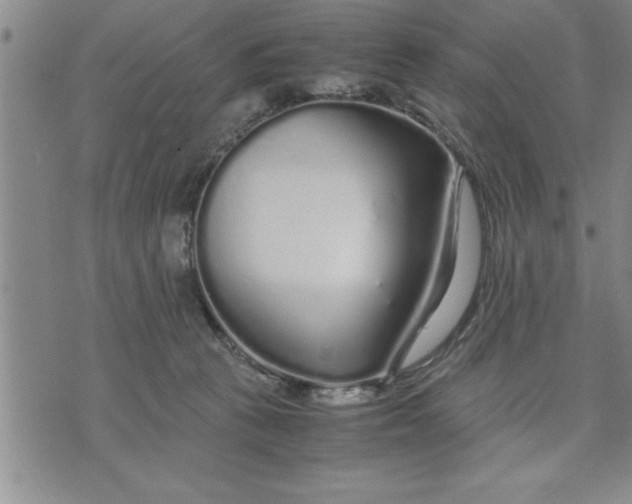 X0000071840273200607141733